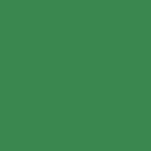 BS 381C Bold Green 262 Paint