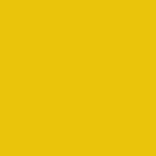 BS 381C Canary Yellow 309 Paint