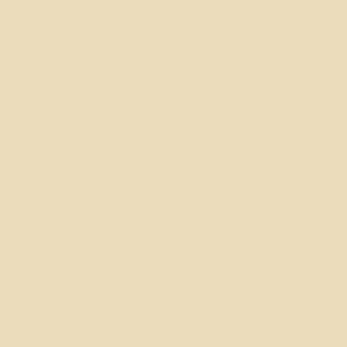 Federal Standard 595 B-17855 - Ivory Paint