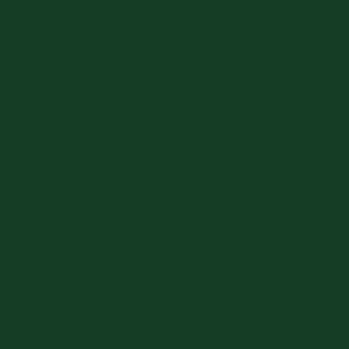 Master Chroma CG6485 - Green 6485 Paint