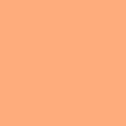 Master Chroma CO2410 - Orange 2410 Paint