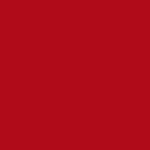 Master Chroma CR3365 - Red 3365 Paint