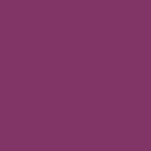 Master Chroma CV4310 - Violet 4310 Paint