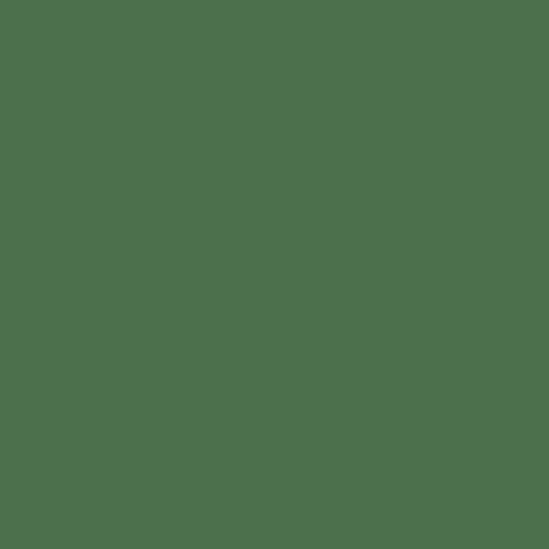 Master Chroma Isofan - G6125 - Green Paint