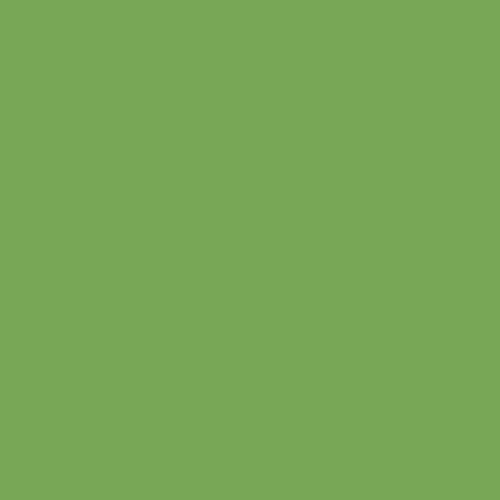 Master Chroma Isofan - G6510 - Green Paint