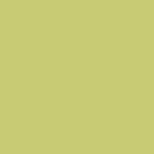 Master Chroma Isofan - G6555 - Green Paint