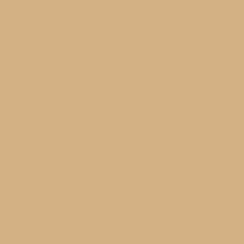 Straight to Metal RAL 1001 Beige Paint
