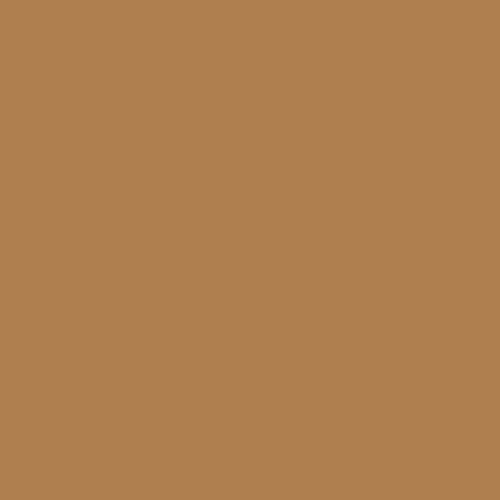 Straight to Melamine/Laminate RAL 1011 Brown Beige Paint