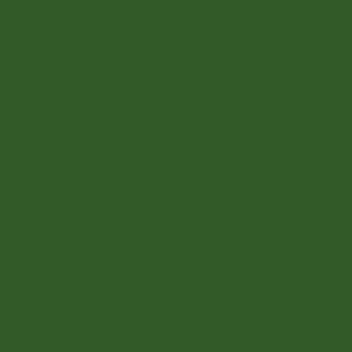 RAL 6002 Leaf Green Paint