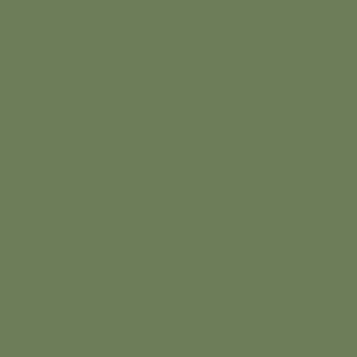 Straight to Ceramic RAL 6011 Reseda Green Paint