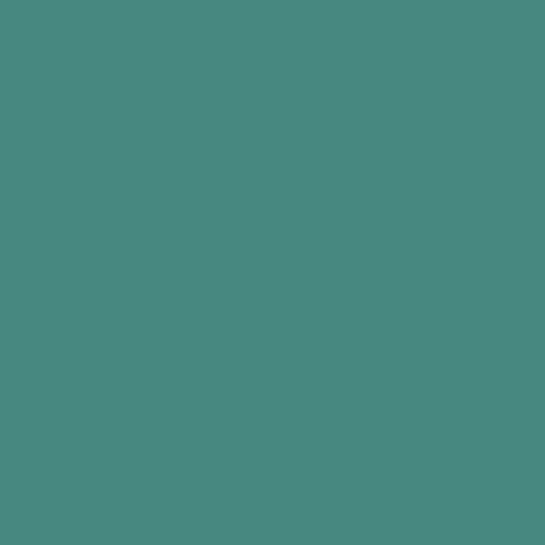 Straight to Metal RAL 6033 Mint Turquoise Paint