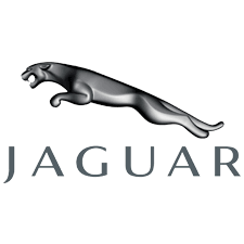 Jaguar Car Paint