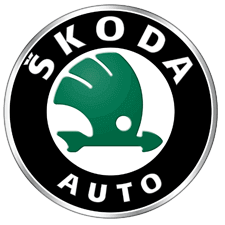 Skoda Car Paint Paint
