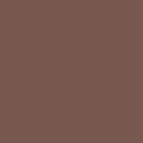 BS 381C Dark Camouflage Brown 436 Paint