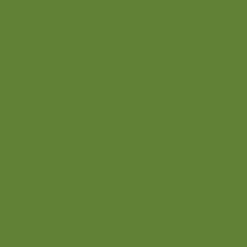 BS 381C Grass Green 218 Paint