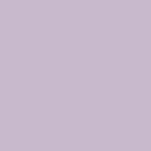 Dulux Trade 50RB 52/107 - Purple sage 4 Paint