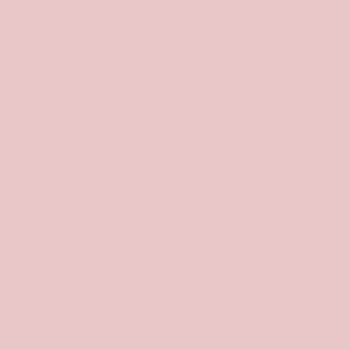 Dulux Trade 90RR 62/124 - Pink Nevada 5 Paint