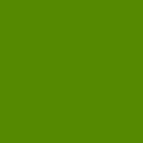 Master Chroma CG6305 - Green 6305 Paint