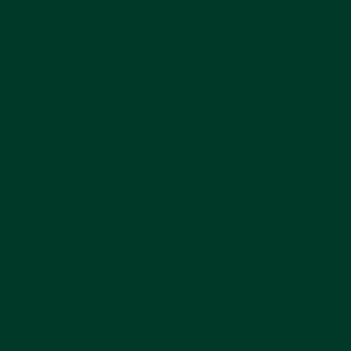 Master Chroma CG6563 - Green 6563 Paint