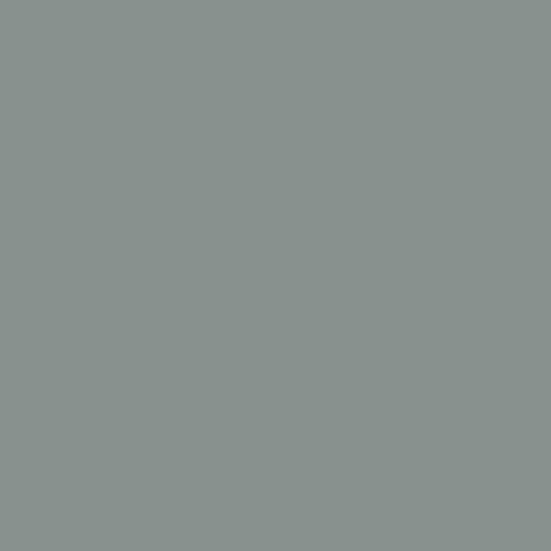 Master Chroma CP7135 - Grey 7135 Paint