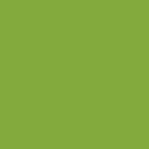 Master Chroma Isofan - G6526 - Green Paint