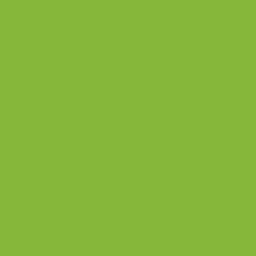 Master Chroma Isofan - G6533 - Green Paint