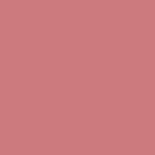 Master Chroma Isofan - R3389 - Red Paint